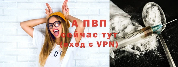 ГАЛЛЮЦИНОГЕННЫЕ ГРИБЫ Вязники