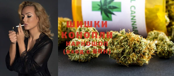 ГАЛЛЮЦИНОГЕННЫЕ ГРИБЫ Вязники