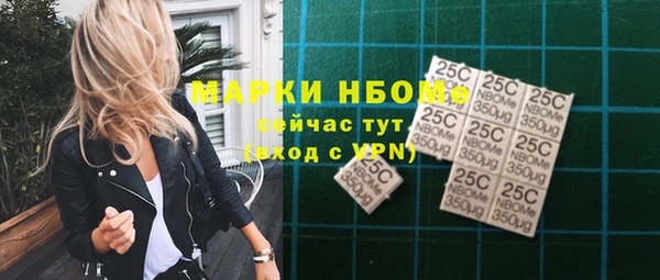 ГАЛЛЮЦИНОГЕННЫЕ ГРИБЫ Вязники