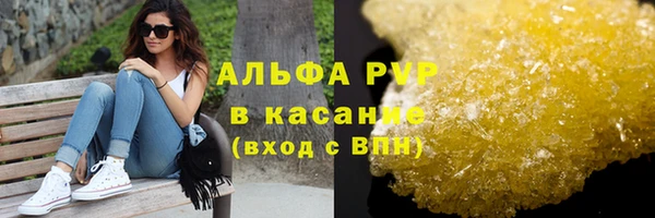 ГАЛЛЮЦИНОГЕННЫЕ ГРИБЫ Вязники