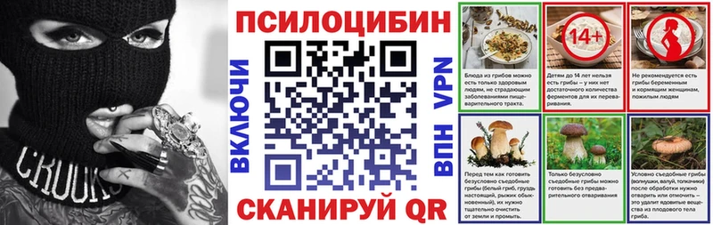 площадка клад  Домодедово  Псилоцибиновые грибы прущие грибы 